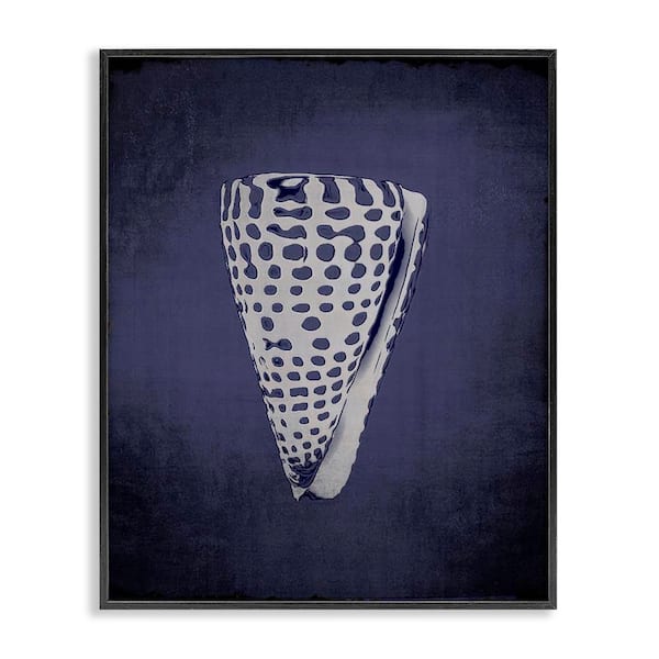 Stupell Industries Nautical Cone Shell by Graffi tee Studios Black Framed Coastal Giclee Art Print 20 in. x 16 in.