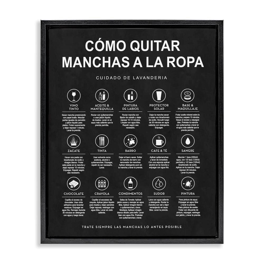 Lavanderia Stain Guide Black by Lettered and Lined Black Floater Frame Typography Graphic Art Print 31 in. x 25 in. price history on PriceWatchPro