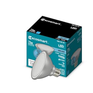 75-Watt Equivalent PAR30S Dimmable Adjustable Beam Angle LED Light Bulb Daylight (2-Pack)