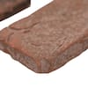 noble-red-clay-msi-smot-clanb-sam-1f.5