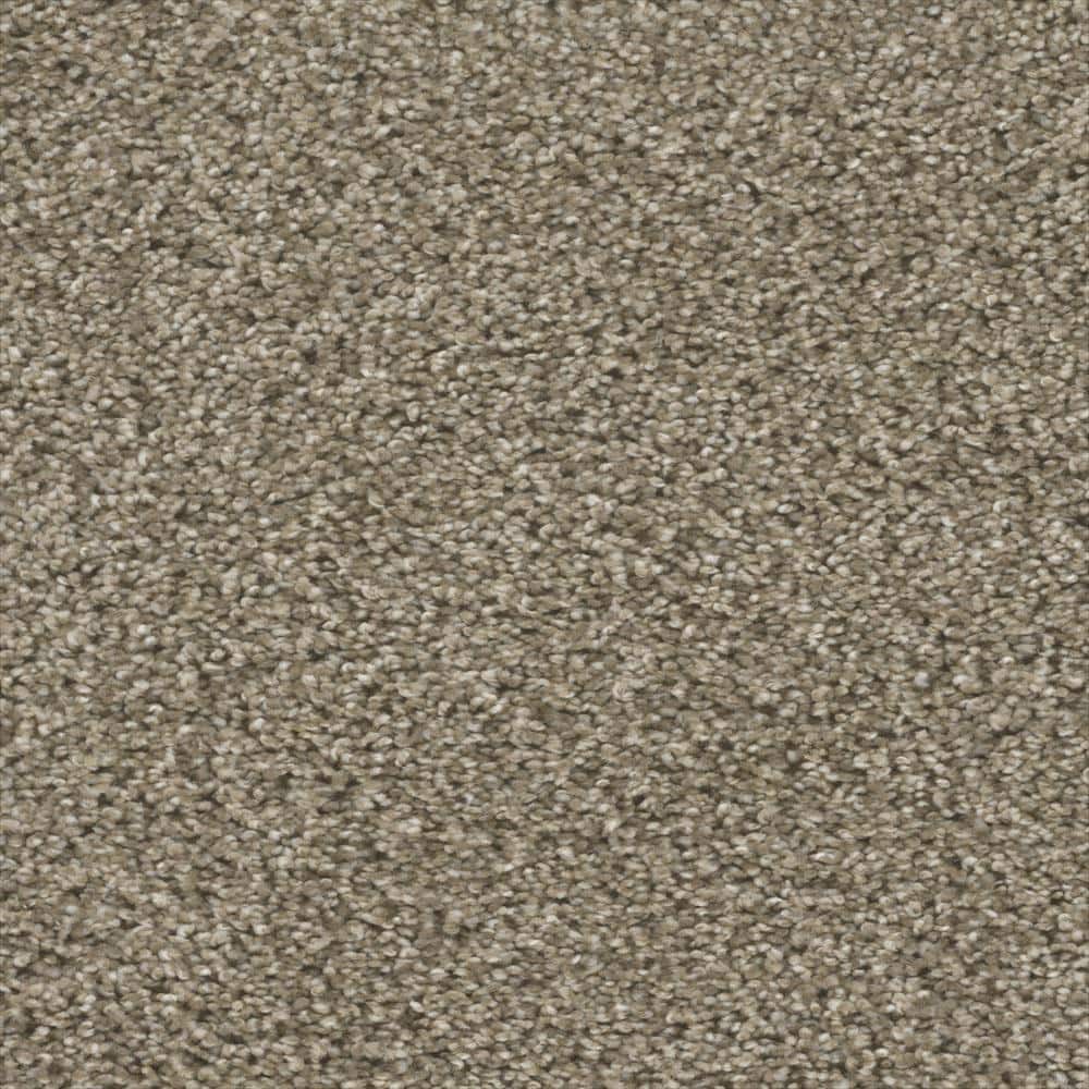 8 in. x  8 in. Texture Carpet Sample - Fall Skies I -Color Harvest Time price history on PriceWatchPro