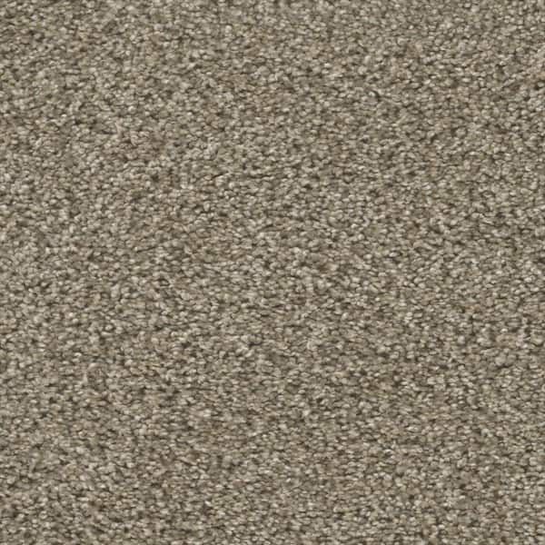 Home Decorators Collection Fall Skies I  - Harvest Time - Beige 48 oz. SD Polyester Texture Installed Carpet