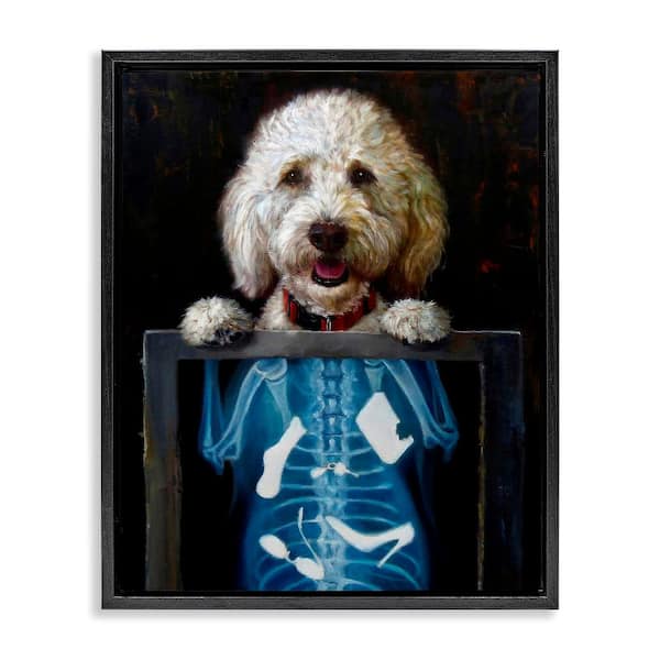 Stupell Industries Funny Dog X-Ray Snacks by Lucia Heffernan 1-Piece Black Floater Frame Animal Graphic Art Print 21 in. x 17 in.