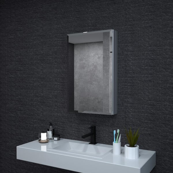 niveal 19 in. W x 30 in. H Rectangular Silver Aluminum Recessed/Surface Mount Medicine Cabinet with Mirror