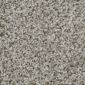 8 in. x 8 in. Texture Carpet Sample - Trendy Threads I -Color Stylish