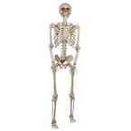 5 ft Posable Skeleton with LED Eyes