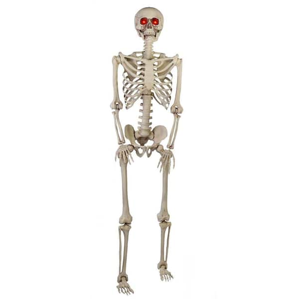 Home Accents Holiday 5 ft Posable Skeleton with LED Eyes