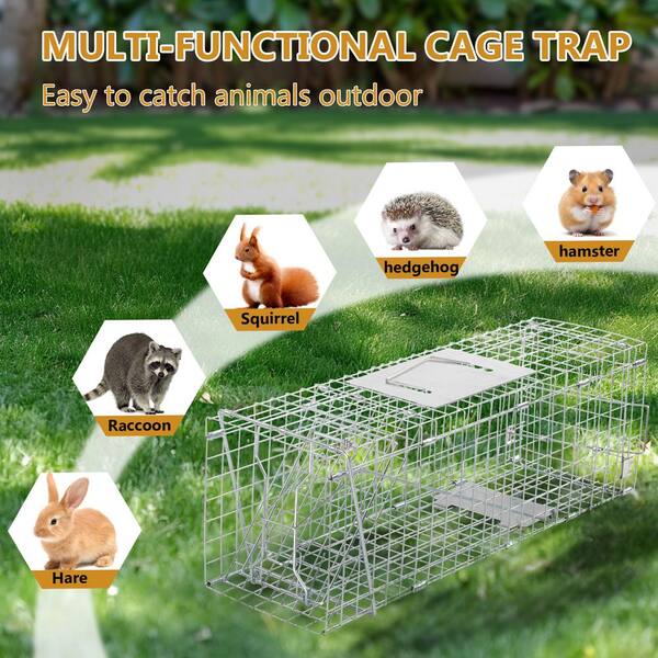 Humane Rat Trap Folding Collapsible Humane Live Animal Cage Trap No ...