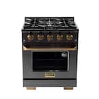 Gemstone Professional 30 in. 4.2 cu. ft. 4 Burners Propane Gas Range with Convection Oven in Titanium Stainless Steel