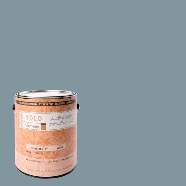 YOLO Colorhouse 1-gal. Water .05 Flat Interior Paint-DISCONTINUED