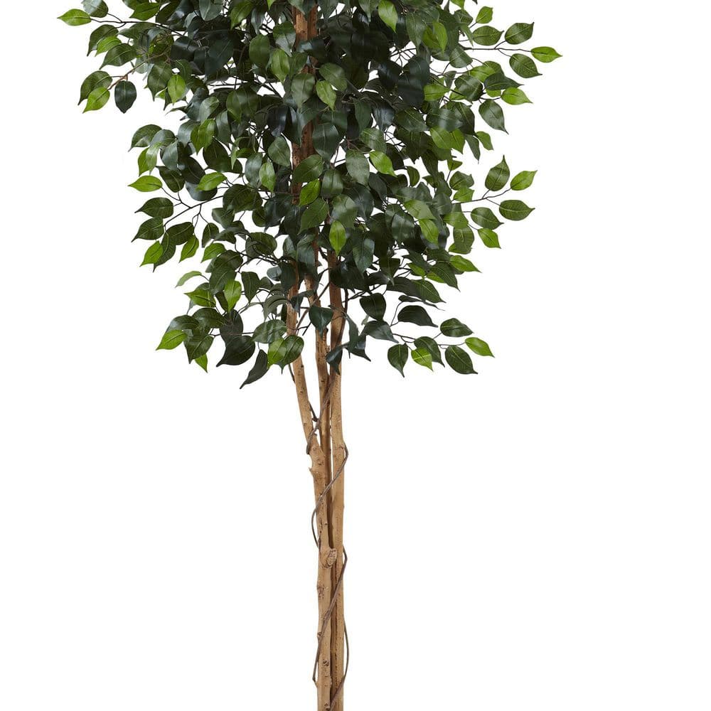 Tall Green Silk Ficus Tree in Black Plastic Pot