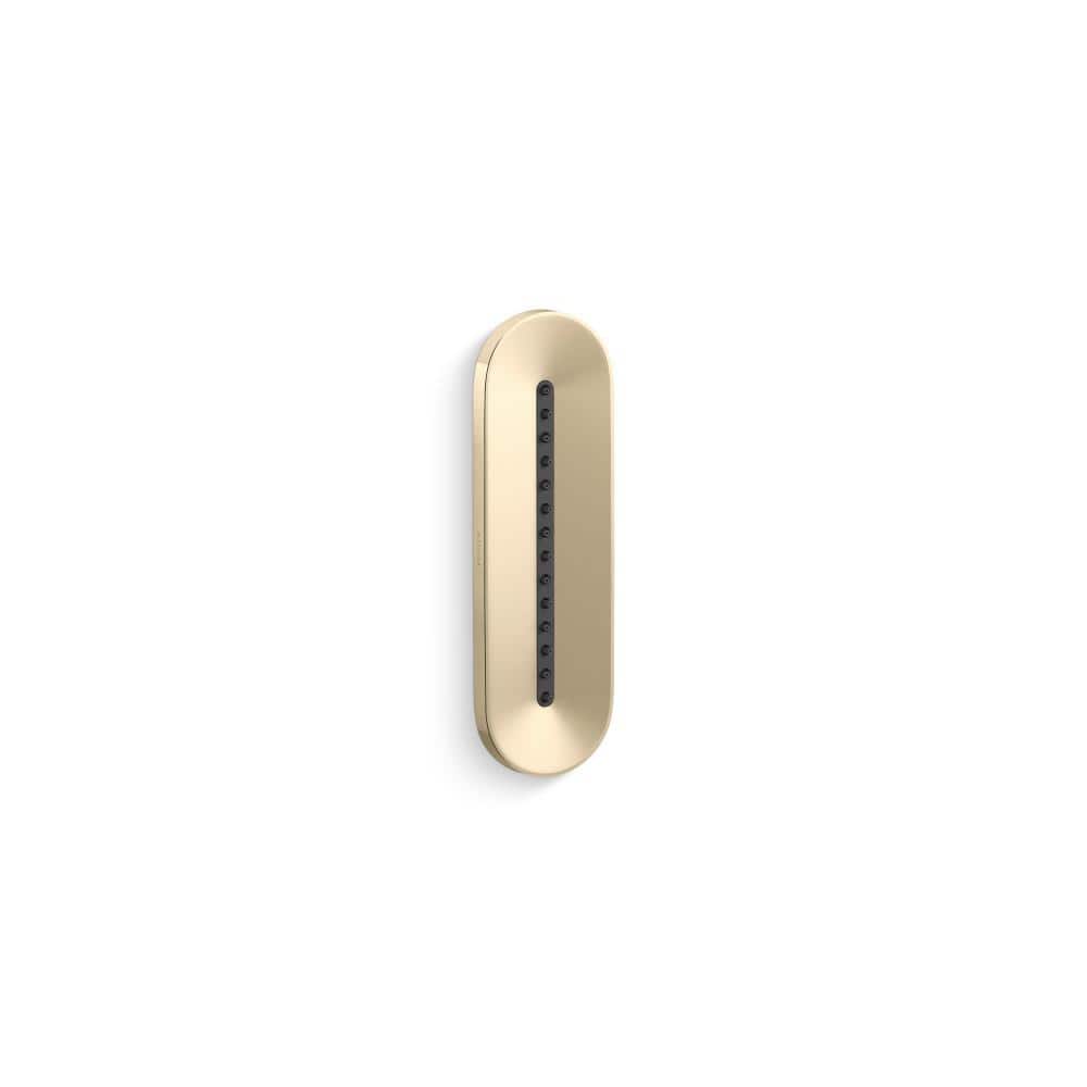Statement Oblong Vichy 2.5 GPM 1-Spray Body Spray in Vibrant French Gold price history on PriceWatchPro