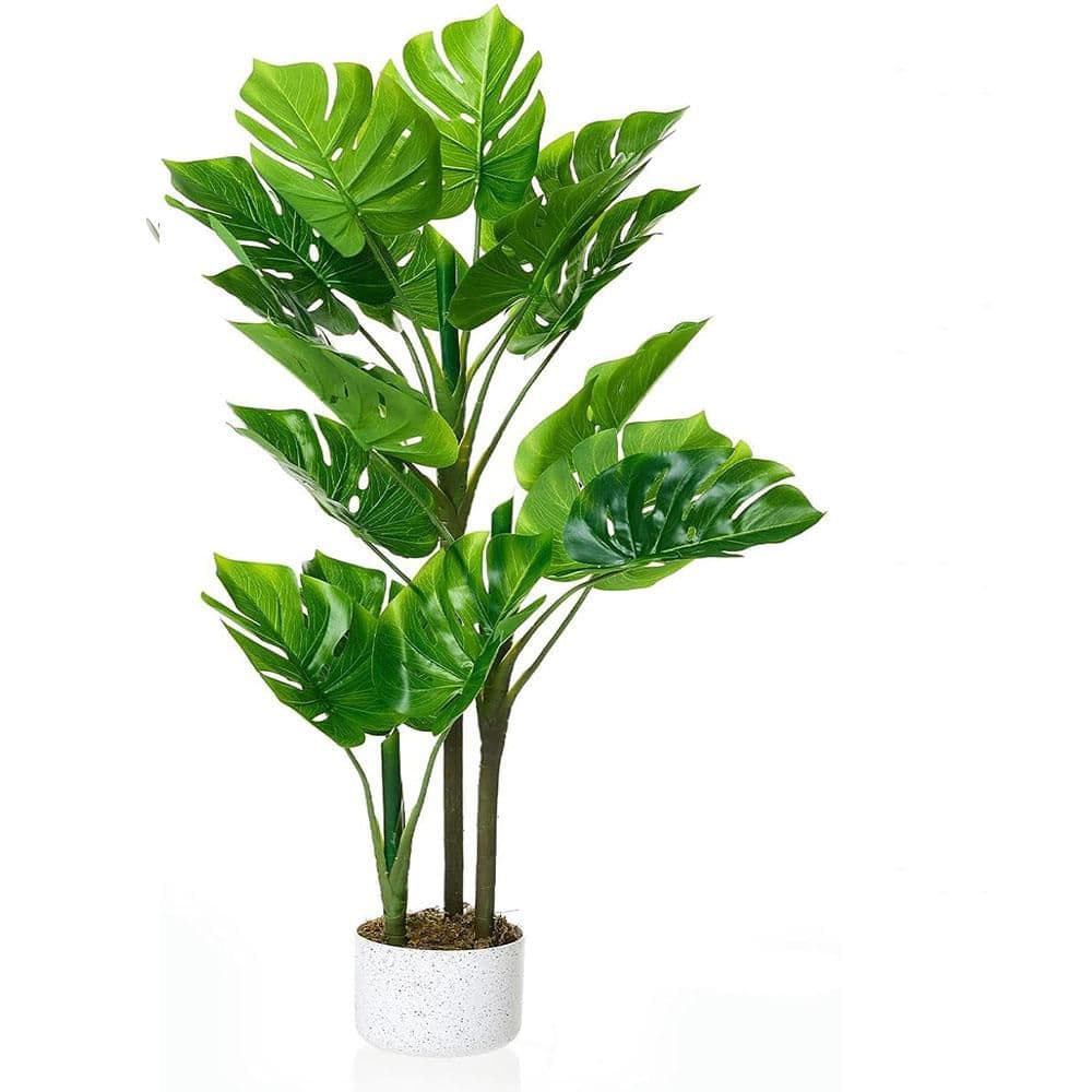 peace lily picture Peace Lily Houseplant - Medium (15"-19" tall) Bubblegum Planter
