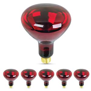250-Watt Red BR40 Dimmable Incandescent 120-Volt Infrared Heat Lamp Light Bulb (6-Pack)