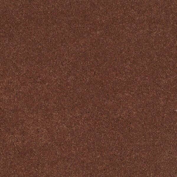 SoftSpring Carpet Sample - Miraculous II - Color Madrid Texture 8 in. x 8 in.