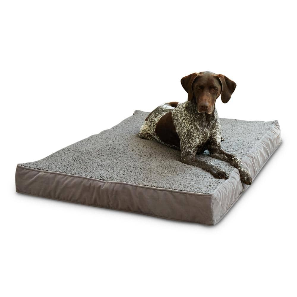 https://images.thdstatic.com/productImages/8cd4150b-2309-496e-8c9b-e6cc2f2443b2/svn/gray-happy-hounds-dog-beds-db700l-gray-64_1000.jpg