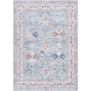 Georgina 7 ft. x 9 ft. Denim Border Indoor Area Rug