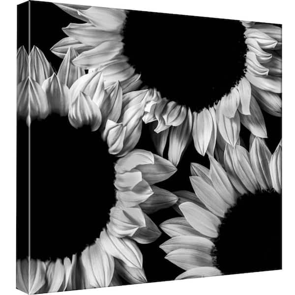 PTM Images 15 in. x 15 in. ''Sunflower Reflect'' Printed Canvas Wall Art