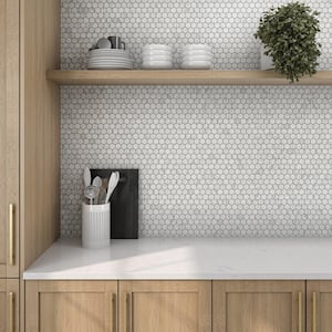 Carrara 10 in. x 12 in. x 6.35mm Ceramic Hexagon Mosaic Floor and Wall Tile (9.72 sq. ft./Case)