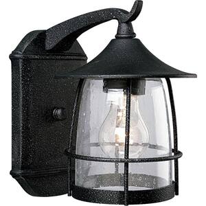 Prairie Collection 1-Light Gilded Iron Clear Seeded Glass Craftsman Outdoor Medium Wall Lantern Light
