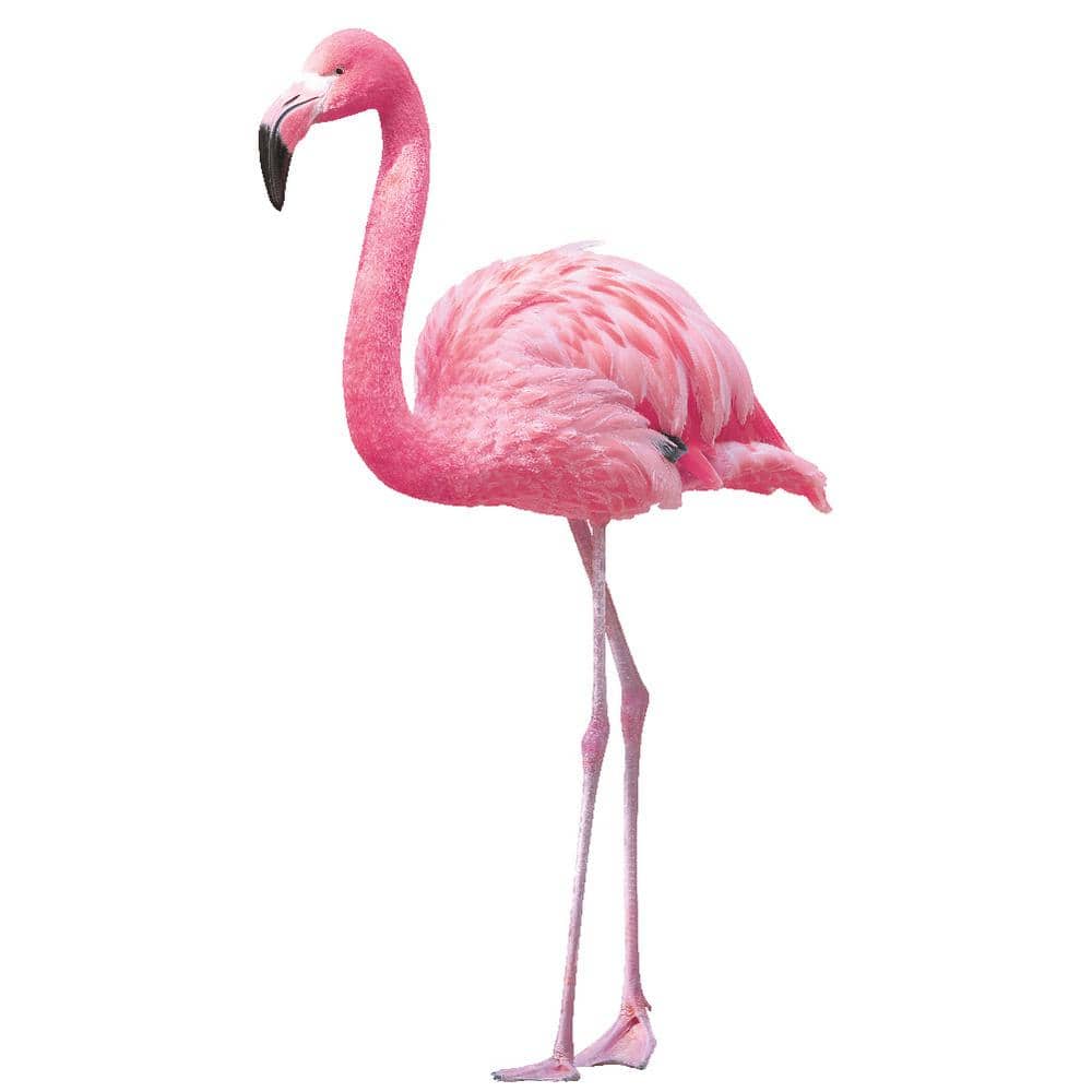 Tempaper Flamingos Peel and Stick Wall Decals (Set of 2) TD3024 The
