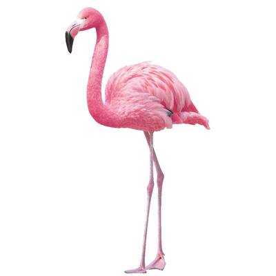 Flamingos Peel and Stick Wall Decals (set of 2)