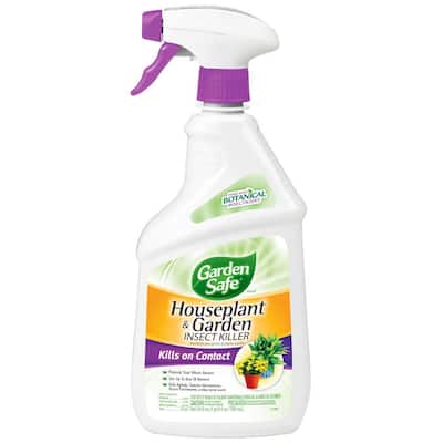 24 fl. oz. Ready-to-Use Houseplant and Garden Insect Killer