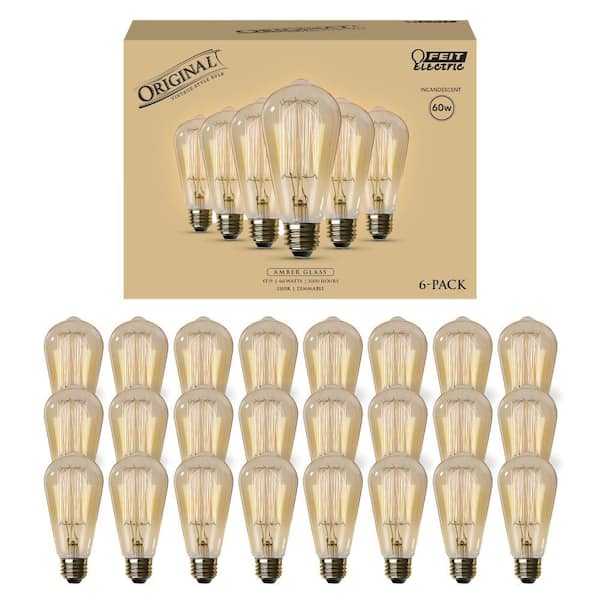 60-Watt ST19 Dimmable Cage Filament Amber Glass E26 Incandescent Vintage Edison Light Bulb, Warm White (24-Pack)