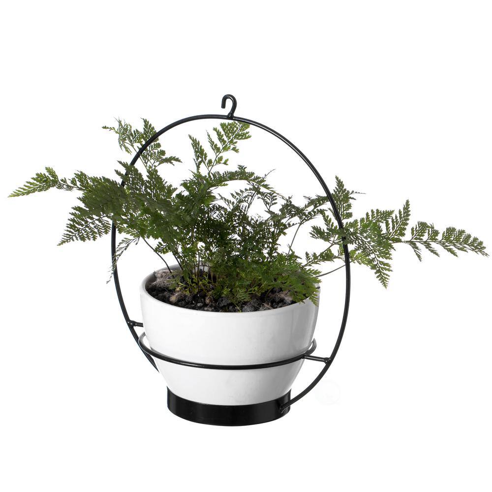 Sleek Dual-Tone Metal Hanging Planter, White and Black, 53"