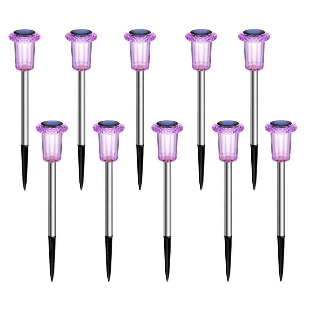 Angel Sar 6000K Purple Solar Lights, Waterproof Stainless Steel Stake ...