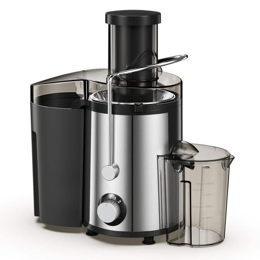 juicerページ Numhew Black and Silver Stainless Steel Juicer Machine, 800