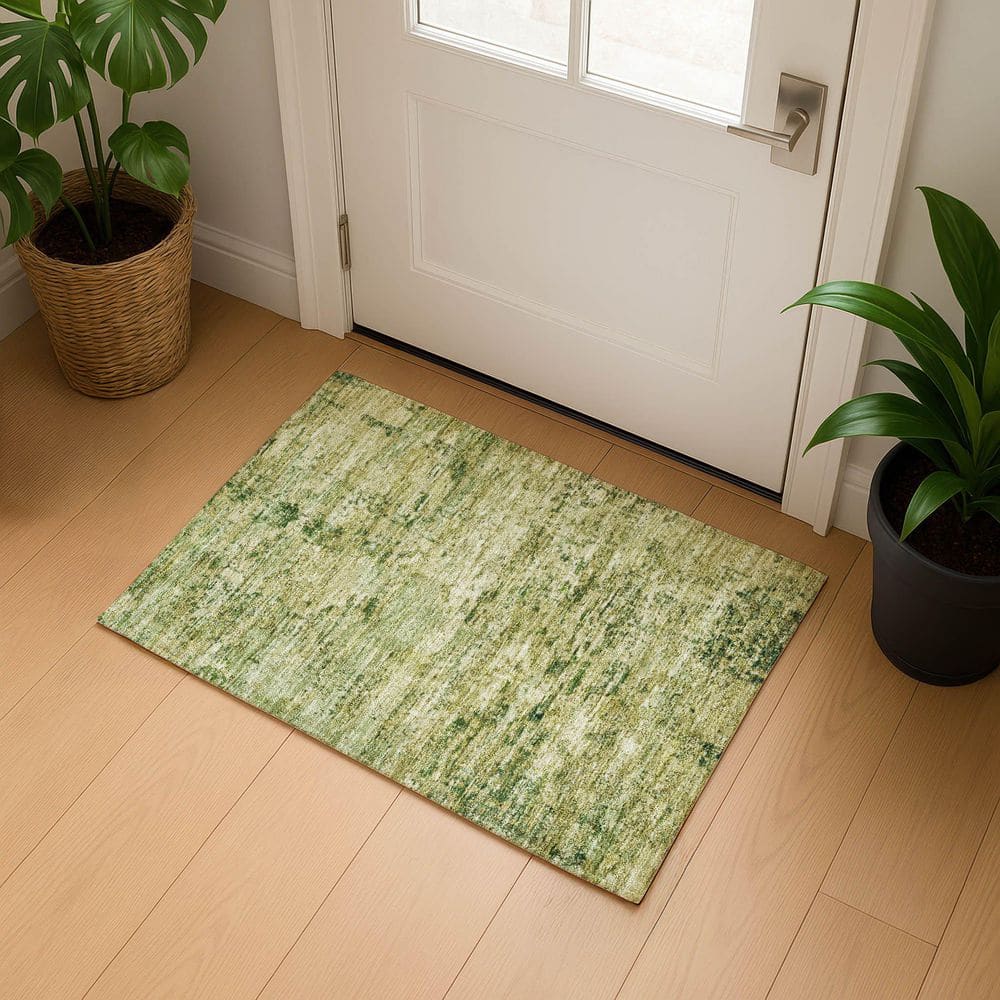 Mayfield Premium Machine Washable Abstract AMF1723 Fern 2 ft. x 3 ft. Area Rug price history on PriceWatchPro