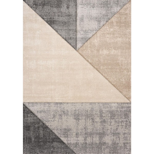 Beige 3 ft. x 5 ft. Woven Geometric Rectangle Indoor Area Rug