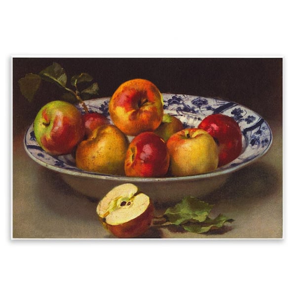 Stupell Industries Mixed Apples Still Life by Tina Higgins Designs, Inc. Unframed Food Graphic Art Print 13 in. x 19 in.