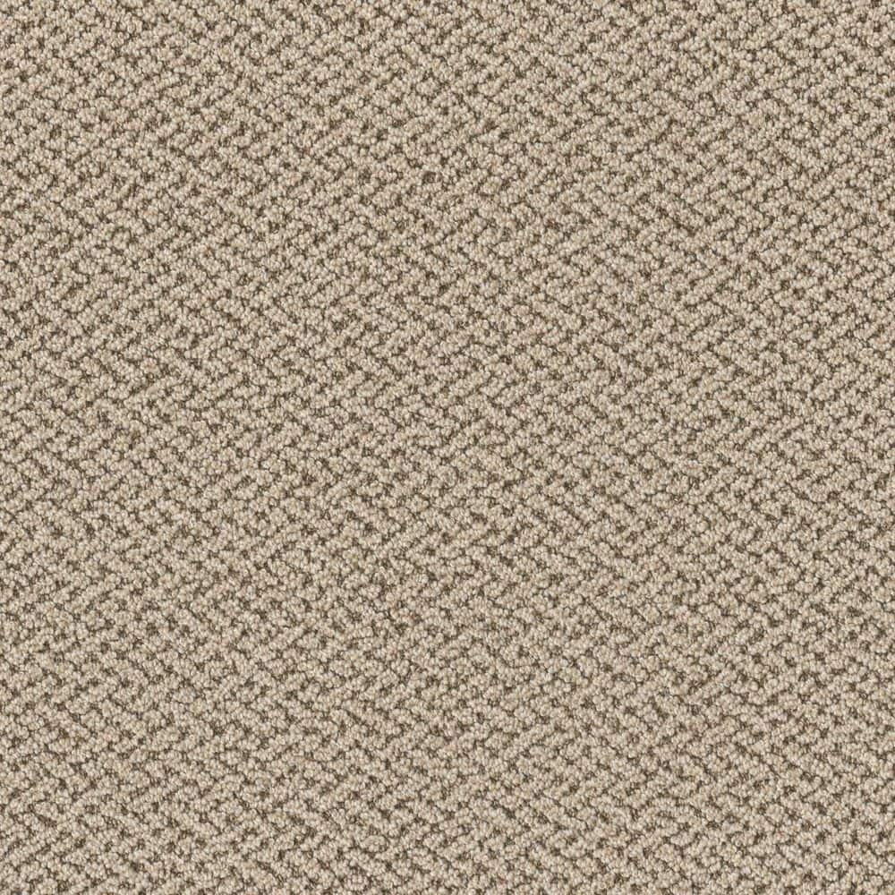 8 in. x 8 in. Loop Carpet Sample - Ballad Bliss - Color Hook price history on PriceWatchPro
