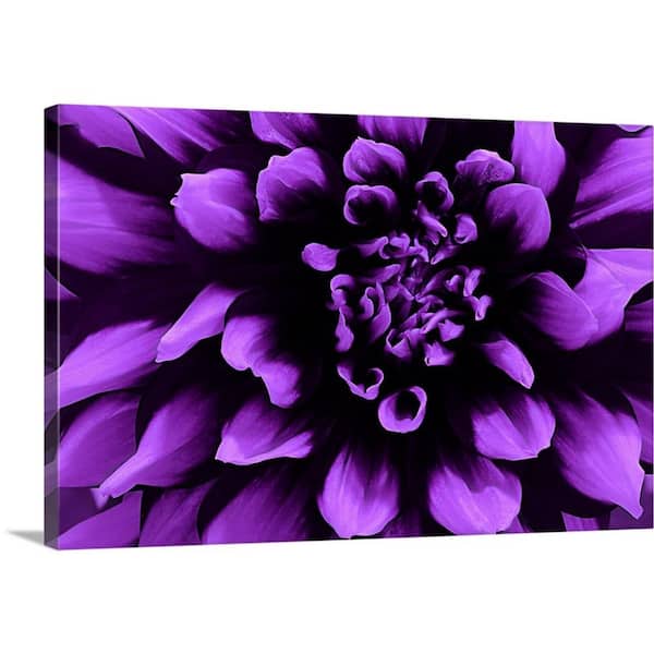 GreatBigCanvas "Purple Dahlia" by Mike Moats Canvas Wall Art