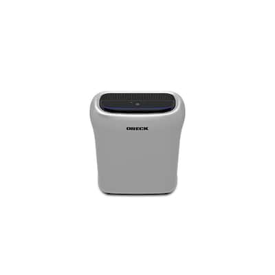 Air Response HEPA Air Purifier with Odor Control and Auto Mode for Small Rooms