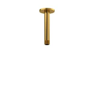 5.625 in. Shower Arm in Brushed Gold