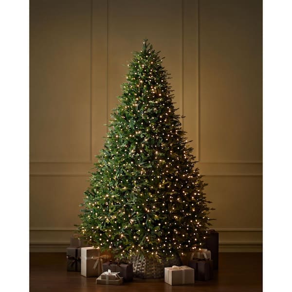 9 ft Ashford Twinkling Balsam Fir LED Pre-Lit Tree T36