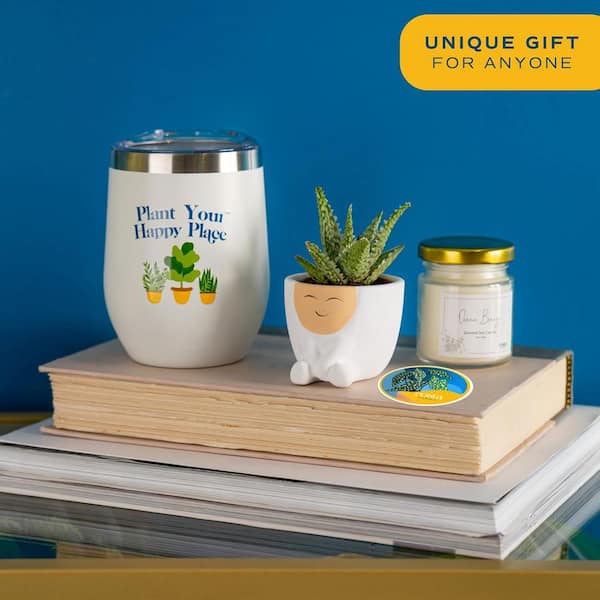 Costa Farms Gift Occasion Box with 2 in. Grower's Choice Succulent in Decor Planter, Candle and Tumbler