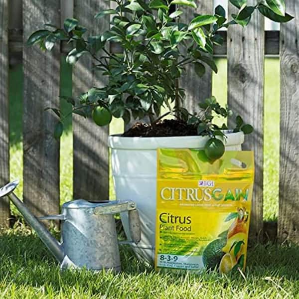 BGI 2 lbs. 8-3-9 Citrus Tree and Plant Food Dry Fertilizer