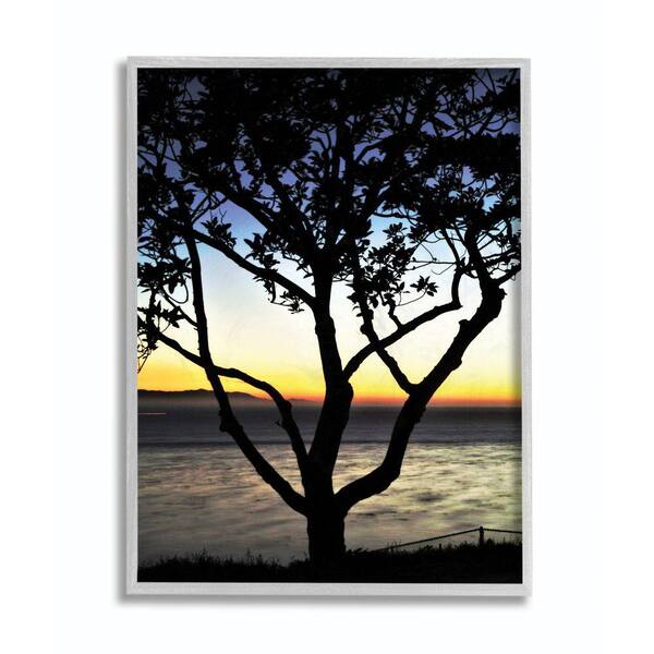 Stupell Industries "Tree Silhouette Landscape Photograph" by Joseph Elliott Framed Abstract Wall Art 16 in. x 20 in.
