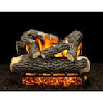 Tahoe Blaze 24 in. Vented Natural Gas Fireplace Logs, Complete Set with Manual Safety Pilot Kit