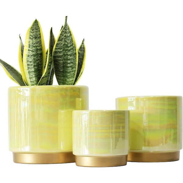 ITOPFOX Bohemian 5.5 in. L x 6 in. W x 6 in. H Yellow Ceramic Round Indoor/Outdoor Planter (3-Pack)