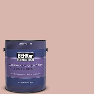 1 gal. #170E-3 Bridal Rose Ceiling Flat Interior Paint and Primer