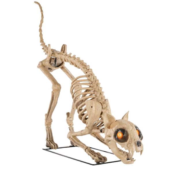 5 ft. Long Grave & Bones LED Skelly's Cat H21