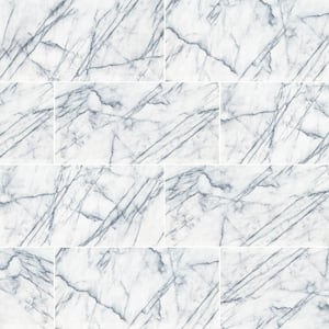 Raphael Gray 24 in. x 48 in. Polished Porcelain Stone Look Floor and Wall Tile (16 sq. ft./Case)