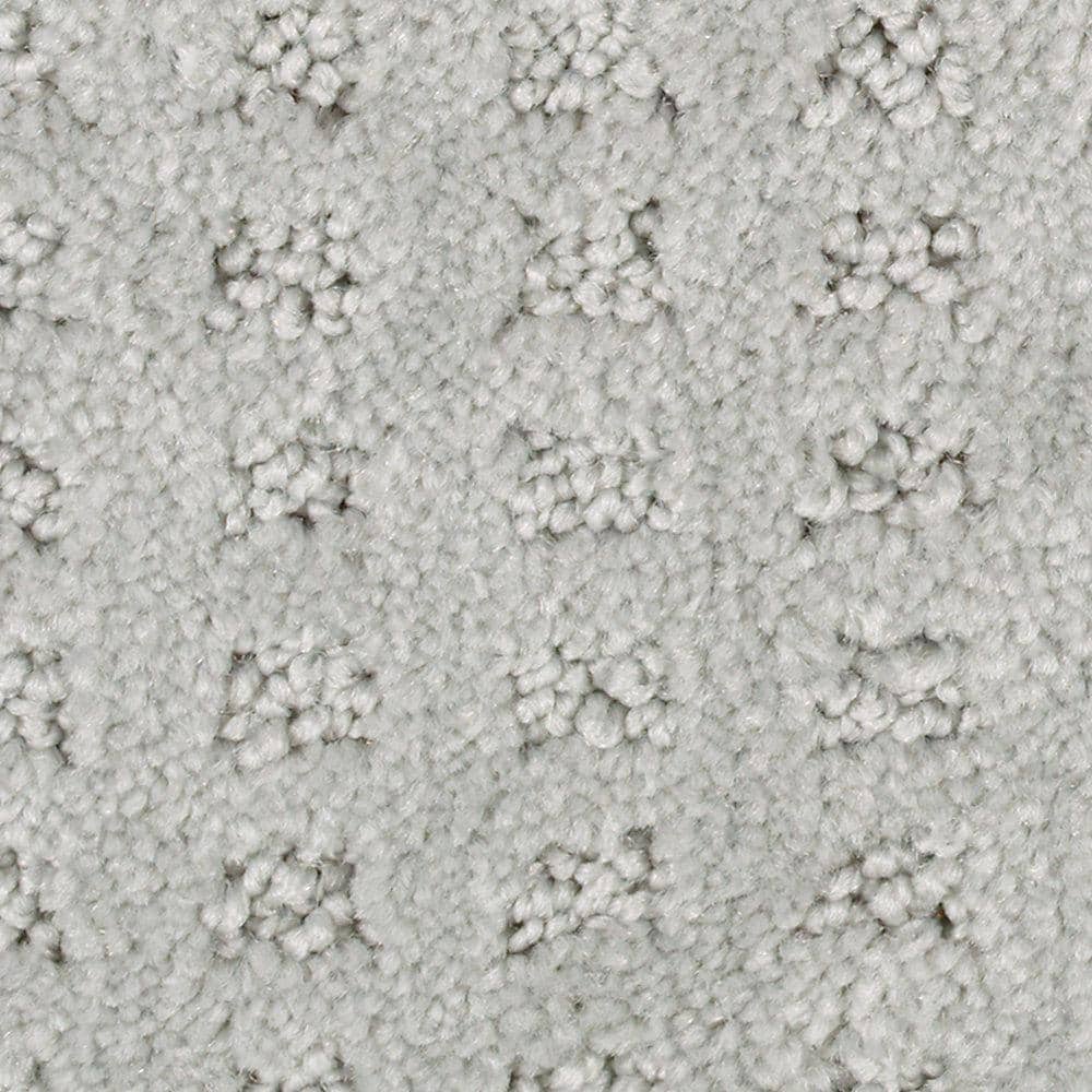 8 in. x 8 in. Texture Carpet Sample - Canter -Color Creek Bend price history on PriceWatchPro