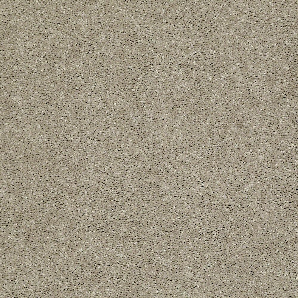 8 in. x 8 in. Texture Carpet Sample - Brave Soul I - Color Garbanzo price history on PriceWatchPro