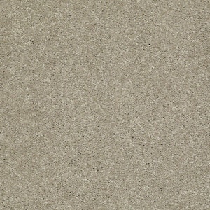 Brave Soul I - Garbanzo - Brown 34.7 oz. Polyester Texture Installed Carpet